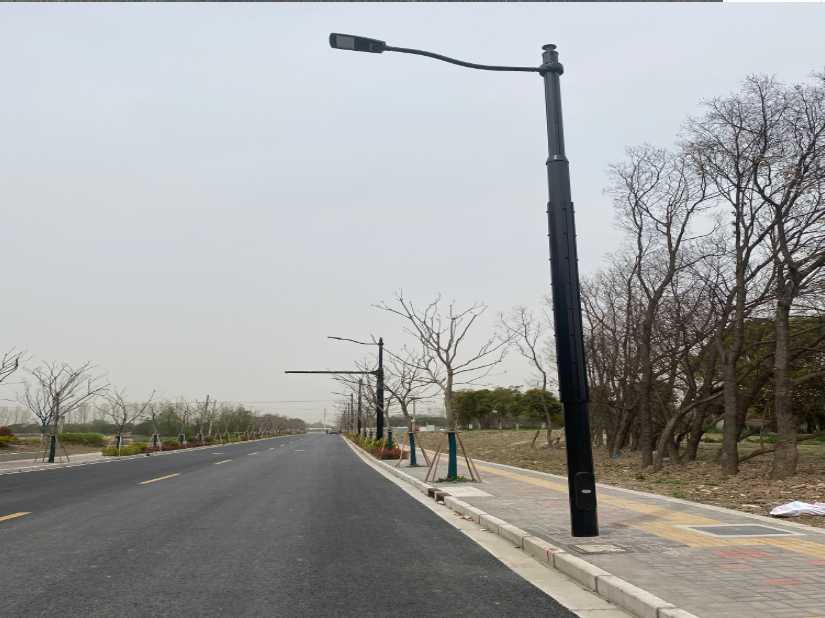 花山区上海综合杆 太阳能路灯工程